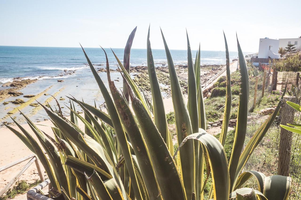 Adosado Reformado Con Piscina, Garaje Y Jardin Junto A La Playa * Los Canos De Meca